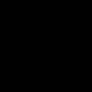 Meet your Posher, Ariana